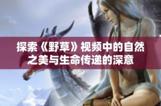 探索《野草》视频中的自然之美与生命传递的深意