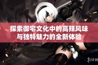 探索御宅文化中的高辣风味与独特魅力的全新体验