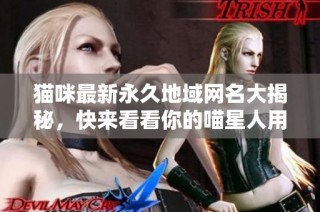 猫咪最新永久地域网名大揭秘，快来看看你的喵星人用的是哪个吧
