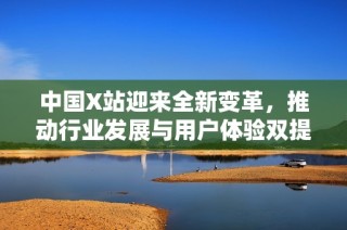 中国X站迎来全新变革，推动行业发展与用户体验双提升