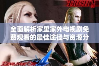 全面解析家里家外电视剧免费观看的最佳途径与资源分享