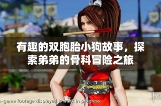 有趣的双胞胎小狗故事，探索弟弟的骨科冒险之旅