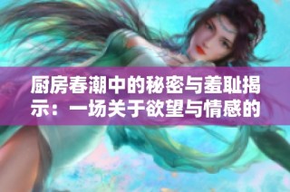 厨房春潮中的秘密与羞耻揭示：一场关于欲望与情感的交织之旅