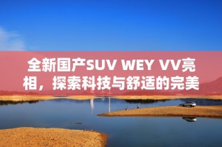 全新国产SUV WEY VV亮相，探索科技与舒适的完美结合
