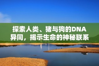 探索人类、猪与狗的DNA异同，揭示生命的神秘联系与进化历程