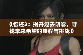 《偿还3：揭开过去阴影，寻找未来希望的旅程与挑战》
