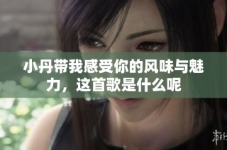 小丹带我感受你的风味与魅力，这首歌是什么呢