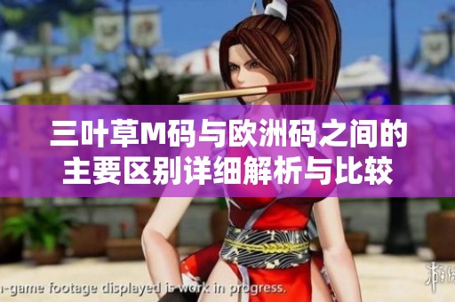 三叶草M码与欧洲码之间的主要区别详细解析与比较
