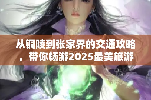 从铜陵到张家界的交通攻略，带你畅游2025最美旅游胜地