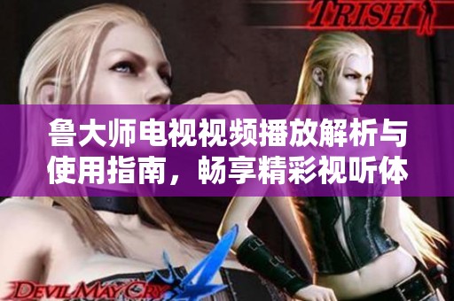 鲁大师电视视频播放解析与使用指南，畅享精彩视听体验