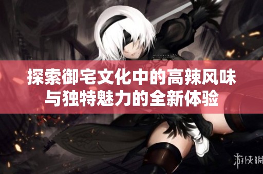 探索御宅文化中的高辣风味与独特魅力的全新体验
