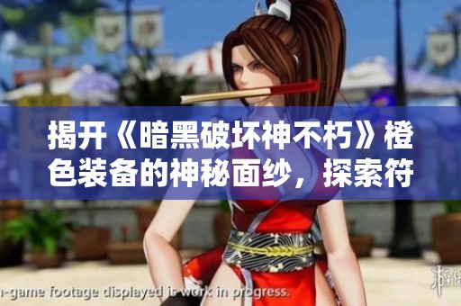 揭开《暗黑破坏神不朽》橙色装备的神秘面纱，探索符文机制与玩法技巧