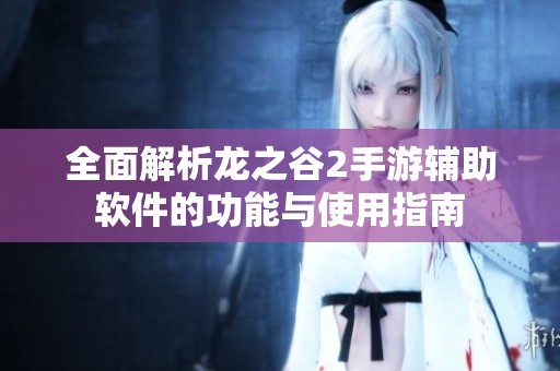 全面解析龙之谷2手游辅助软件的功能与使用指南