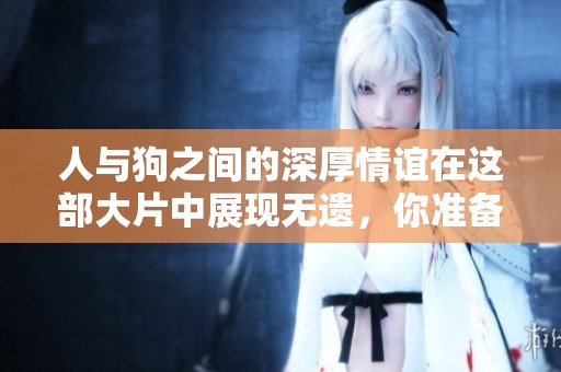 人与狗之间的深厚情谊在这部大片中展现无遗，你准备好感受了吗