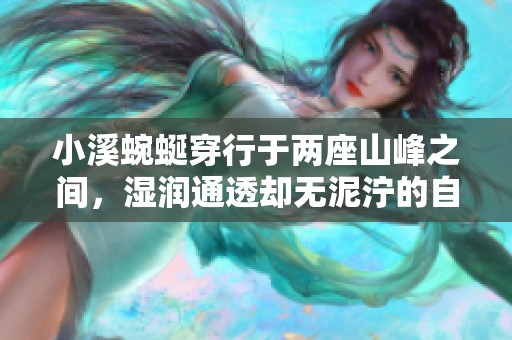 小溪蜿蜒穿行于两座山峰之间，湿润通透却无泥泞的自然美景探秘