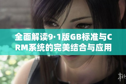 全面解读9·1版GB标准与CRM系统的完美结合与应用探索