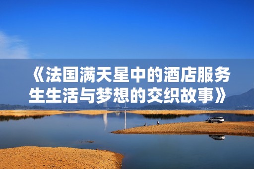 《法国满天星中的酒店服务生生活与梦想的交织故事》
