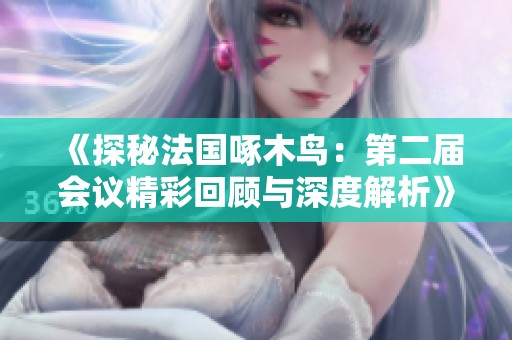 《探秘法国啄木鸟：第二届会议精彩回顾与深度解析》