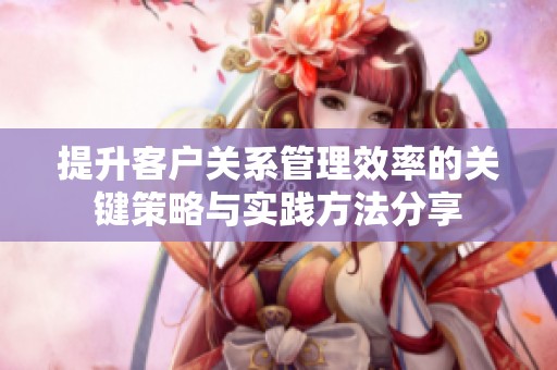 提升客户关系管理效率的关键策略与实践方法分享