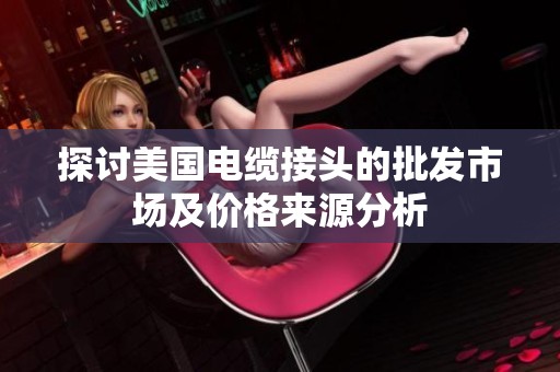 探讨美国电缆接头的批发市场及价格来源分析