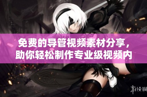 免费的导管视频素材分享，助你轻松制作专业级视频内容
