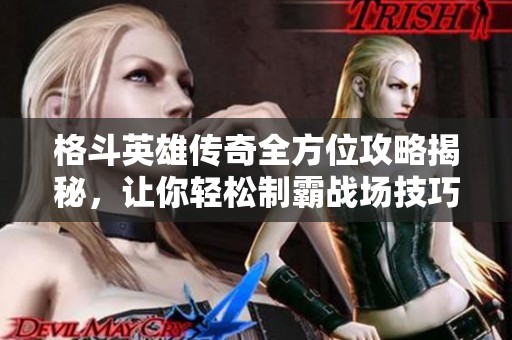 格斗英雄传奇全方位攻略揭秘，让你轻松制霸战场技巧大汇总