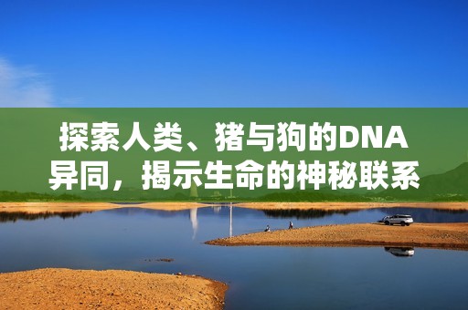 探索人类、猪与狗的DNA异同，揭示生命的神秘联系与进化历程