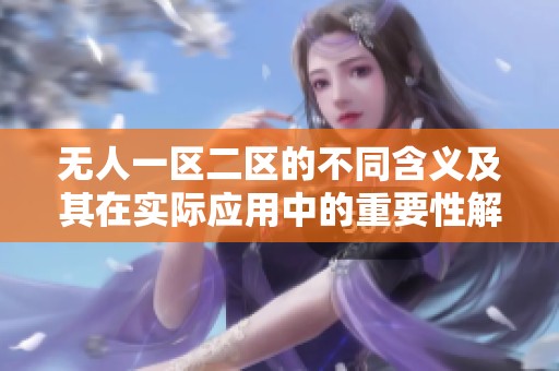 无人一区二区的不同含义及其在实际应用中的重要性解析