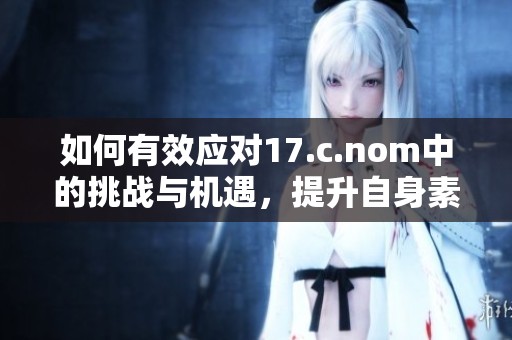 如何有效应对17.c.nom中的挑战与机遇，提升自身素养与能力分析