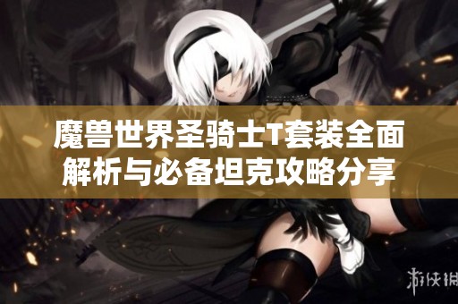 魔兽世界圣骑士T套装全面解析与必备坦克攻略分享