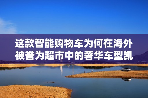 这款智能购物车为何在海外被誉为超市中的奢华车型凯迪拉克