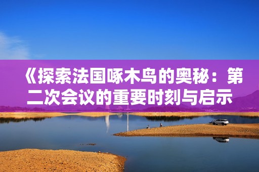 《探索法国啄木鸟的奥秘：第二次会议的重要时刻与启示》