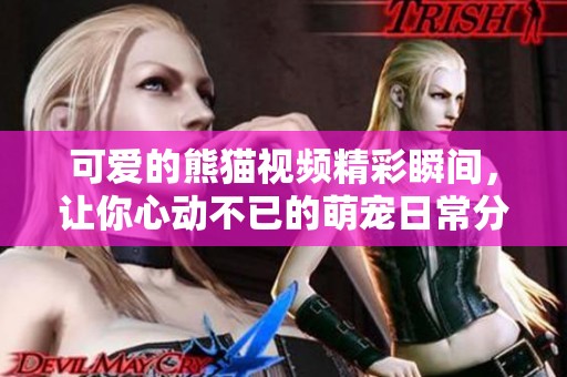 可爱的熊猫视频精彩瞬间，让你心动不已的萌宠日常分享