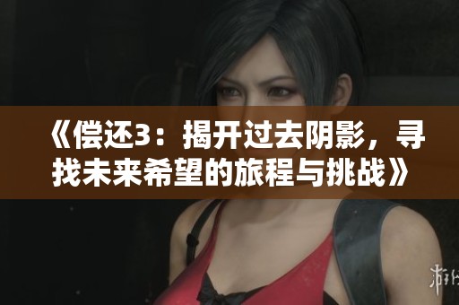《偿还3：揭开过去阴影，寻找未来希望的旅程与挑战》