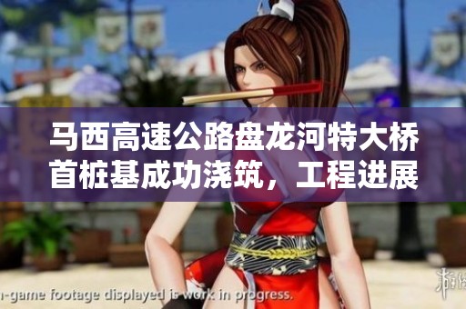 马西高速公路盘龙河特大桥首桩基成功浇筑，工程进展顺利
