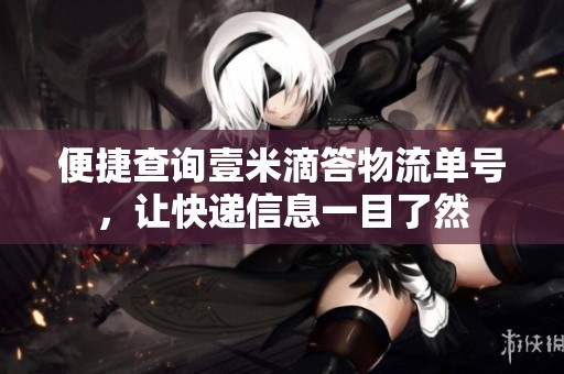 便捷查询壹米滴答物流单号，让快递信息一目了然