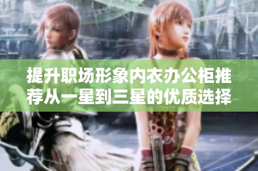 提升职场形象内衣办公柜推荐从一星到三星的优质选择