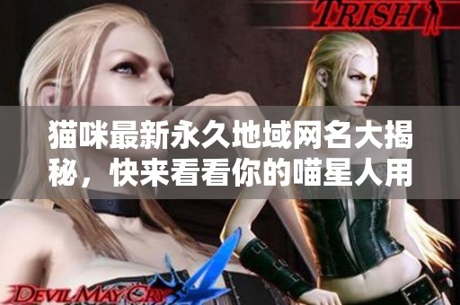 猫咪最新永久地域网名大揭秘，快来看看你的喵星人用的是哪个吧