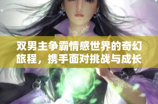 双男主争霸情感世界的奇幻旅程，携手面对挑战与成长的故事