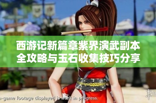 西游记新篇章紫界演武副本全攻略与玉石收集技巧分享