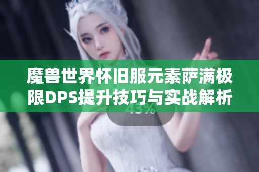 魔兽世界怀旧服元素萨满极限DPS提升技巧与实战解析
