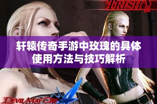 轩辕传奇手游中玫瑰的具体使用方法与技巧解析