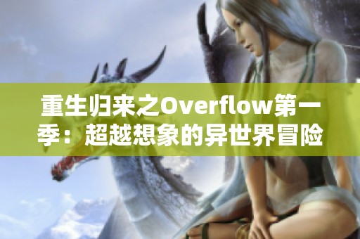 重生归来之Overflow第一季：超越想象的异世界冒险之旅