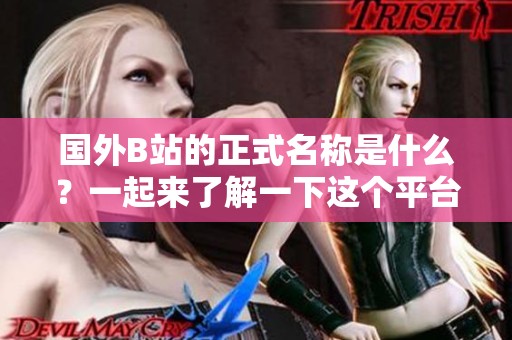 国外B站的正式名称是什么？一起来了解一下这个平台的全称吧