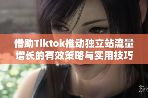 借助Tiktok推动独立站流量增长的有效策略与实用技巧解析