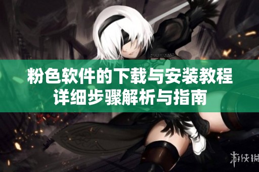 粉色软件的下载与安装教程详细步骤解析与指南