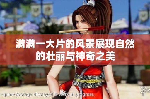 满满一大片的风景展现自然的壮丽与神奇之美