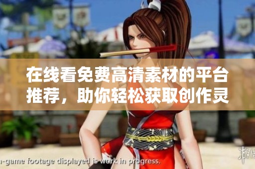 在线看免费高清素材的平台推荐，助你轻松获取创作灵感与资源