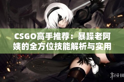 CSGO高手推荐：暴躁老阿姨的全方位技能解析与实用技巧分享