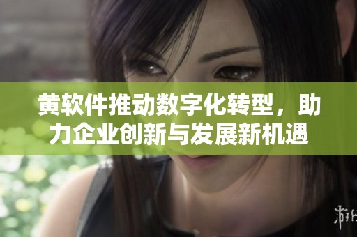 黄软件推动数字化转型，助力企业创新与发展新机遇